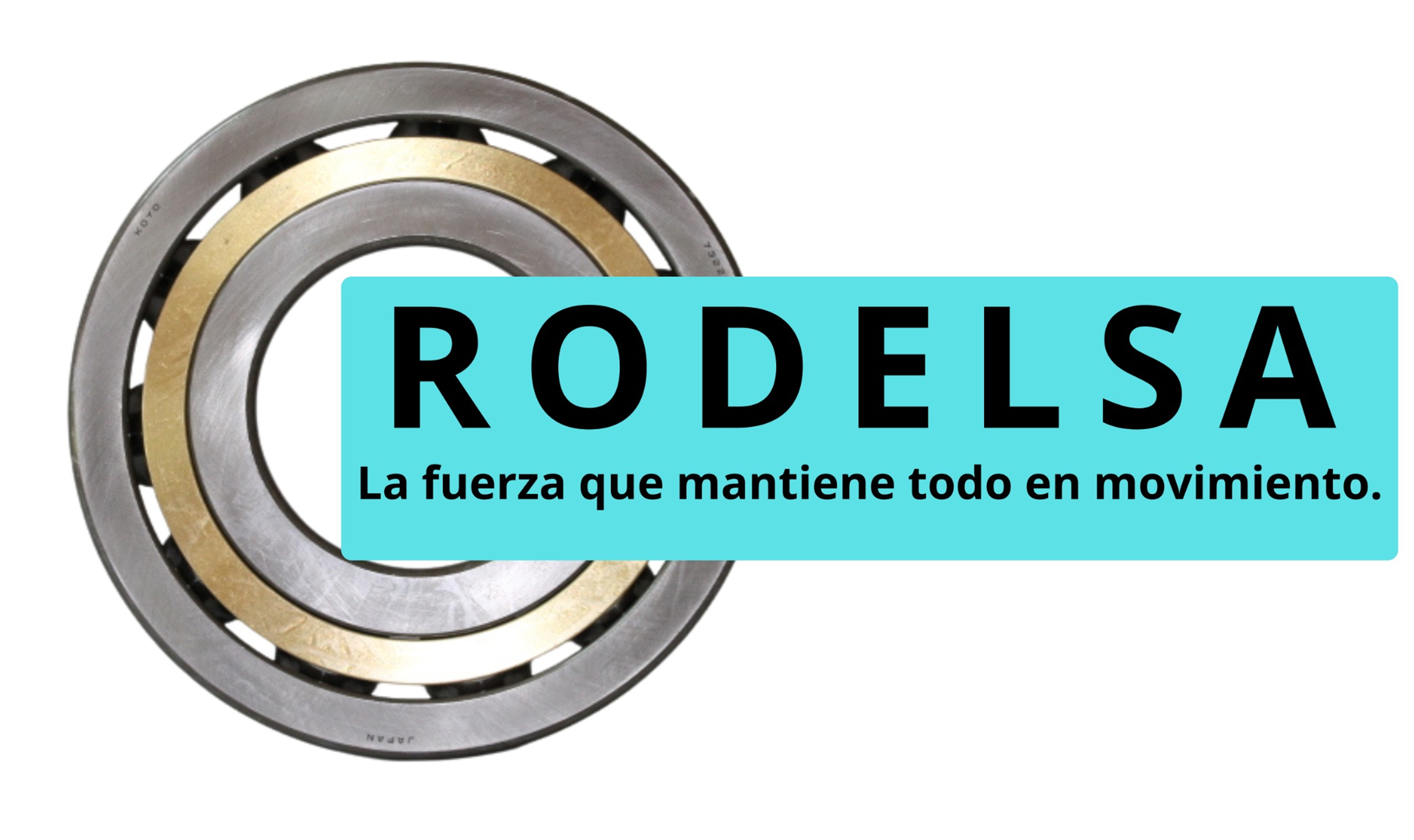 RODELSA